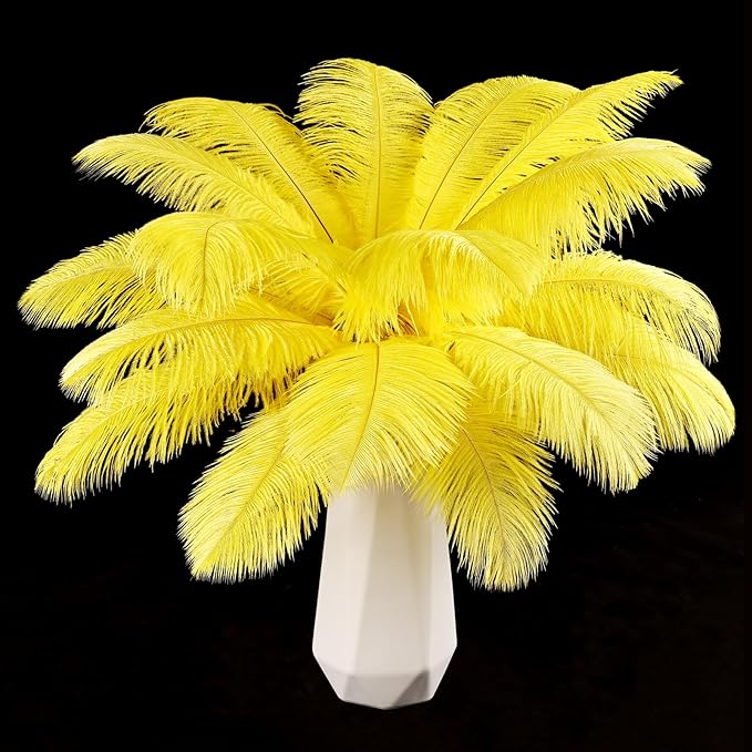 THARAHT Yellow Ostrich Feathers 12pcs Natural Bulk 10-12Inch 25cm-30cm for Crafts Wedding Party Centerpieces Halloween and Home Decoration Feathers-Ruum Studio Home