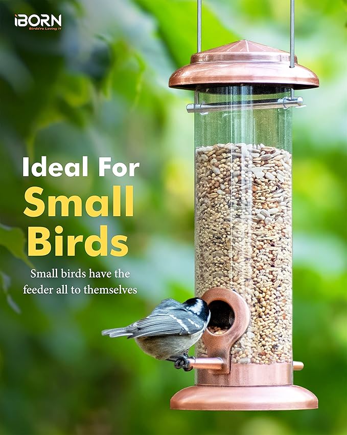 iBorn Metal Bird Feeder Hanging Wild Bird Feeders for Mix Seed Blends Heavy Duty All Metal Finishing, Copper Finish, 8 Inch 2 Port (Seed is not Included)-Ruum Studio Home
