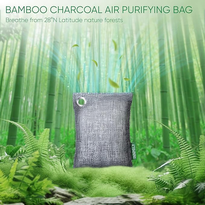 Activated Charcoal Odor Absorber, Odor Eliminator for Strong Odor,Bamboo Charcoal Air Purifying Bags for Home Car Closet Pet, Smoke Room Deodorizer (10 x 100g, Unscented)-Ruum Studio Home