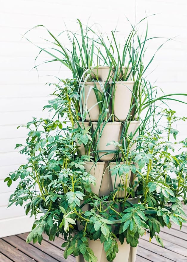 Greenstalk Patented Large 5 Tier Vertical Garden Planter with Patented Internal Watering System Great for Growing a Variety of Strawberries, Vegetables, Herbs, & Flowers (Stunning Stone)-Ruum Studio Home