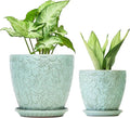 8 Inch + 6 Inch Plant Pots for Indoor Plants, Ceramic Planter with Drainage Hole and Saucers, Garden Pots for Succulent, Orchid, and Flower, Set of 2-Ruum Studio Home