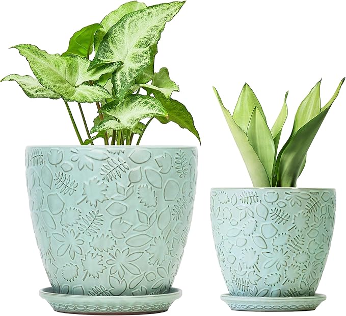 8 Inch + 6 Inch Plant Pots for Indoor Plants, Ceramic Planter with Drainage Hole and Saucers, Garden Pots for Succulent, Orchid, and Flower, Set of 2-Ruum Studio Home