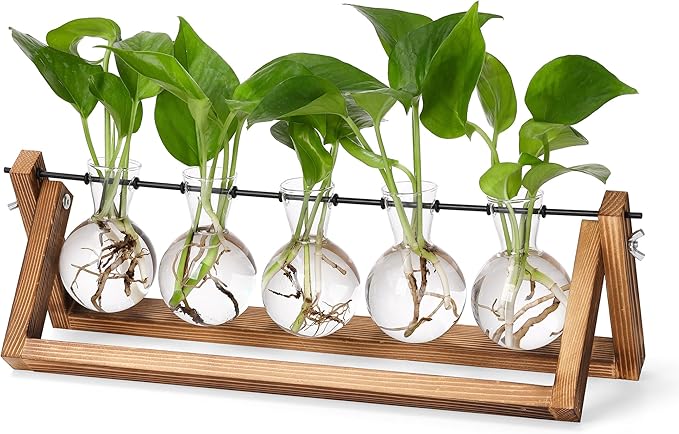 YIBOT Propagation Stations,Plant Terrarium with Wooden Stand,Plant Lover Gifts for Women for Hydroponics Plants Home Garden Wedding Decor(5 Bulb Vase)-Ruum Studio Home