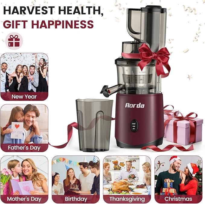 Masticating Cold Press Juicer Machines: 200W Pure Slow Juicer With Quiet Motor For Vegetable And Fruit Easy To Clean, Red-Ruum Studio Home