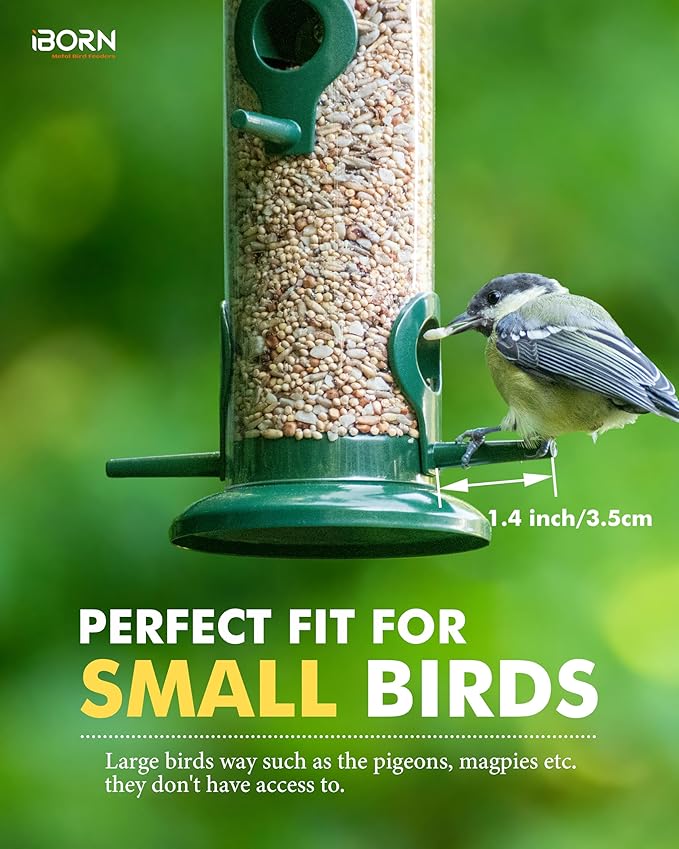 iBorn Metal Bird Feeders 6 Ports Hanging Wild Bird Seed Feeder for Mix Seed Blends, Niger Seed Feeder, Sunflower Heart, Birdbath, Heavy Duty All Metal Green Finishing 14 Inch 6Port, Pack of 2-Ruum Studio Home
