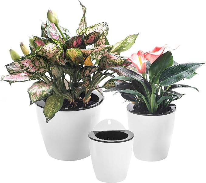 3 Pack Self Watering Wall Hanging Planter Pots Vertical Garden Window Hang Mount Indoor Outdoor Plant Flower Basket for Kitchen Herbs Balcony Railing Shelf Fence Bedroom Trellis Decor Modern White Box-Ruum Studio Home