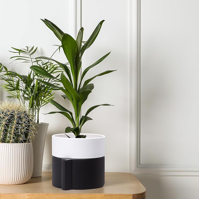 Phoenix Vine 6.5 Inch Self-Watering Planter Pot with Terracotta Insert, Deep Water Reservoir, and Ceramic-Alike BPA-Free Plastic Pot for Plant, Modern Planter for Houseplants, Black/White, 53-C-S-7-Ruum Studio Home