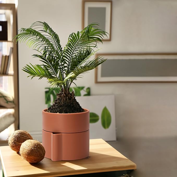 Phoenix Vine 6.5 Inch Self-Watering Planter Pot with Terracotta Insert, Deep Water Reservoir, and Ceramic-Alike BPA-Free Plastic Pot for Plant, Modern Planter for Houseplants, Terracotta, 53-A-S-3-Ruum Studio Home