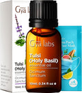 Gya Labs Holy Basil (Tulsi) Essential Oil - 0.34 Fl Oz - 100% Pure Natural Holy Basil Oil for Diffuser & Candle Making Scent-Ruum Studio Home