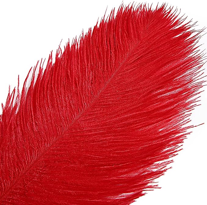 THARAHT Red Ostrich Feathers 12pcs Large Natural Bulk 14-16Inch 35cm-40cm for Wedding Party Centerpieces Halloween and Home Decoration Feathers-Ruum Studio Home