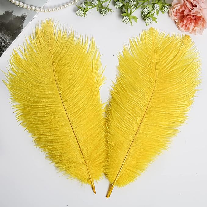 THARAHT Yellow Ostrich Feathers 24pcs Natural Bulk 10-12Inch 25cm-30cm for Crafts Wedding Party Centerpieces Halloween and Home Decoration Feathers-Ruum Studio Home
