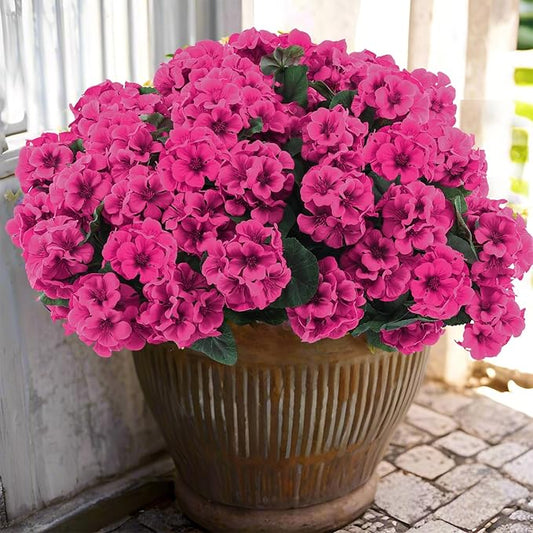 Hananona 12 Pcs Artificial Geranium Flowers for Outdoors Geranium Silk Flowers Outdoor UV Resistant Garden Plants Faux Flowers for Ptio Front Door Kitchen Table Centerpieces Home Decor (12, Rose Red)-Ruum Studio Home