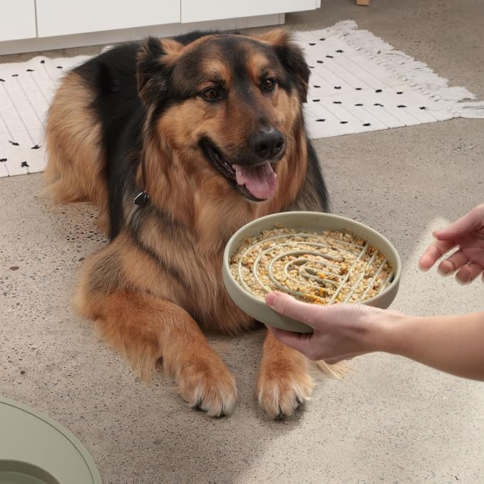 The Slowdown Bowl Silicone Slow Feeder for Dogs & Puppies, Slow Eating, Modern Lick Mat Design, Reduces Gulping, Fits 2.5 Cups 9.5” Across x 1.5” Tall, Mealtime Challenge, Large-Spruce-Ruum Studio Home