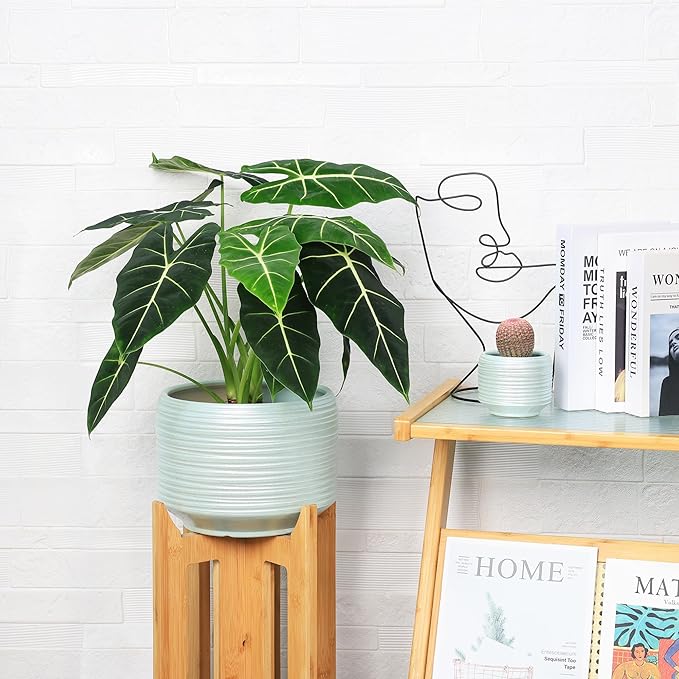 10 Inch Ceramic Plant Pot with Drainage – Large Flower Pot for Indoor Outdoor Plants, Modern Decorative Planter for Patio, Balcony, Garden, or Home Decor-Ruum Studio Home