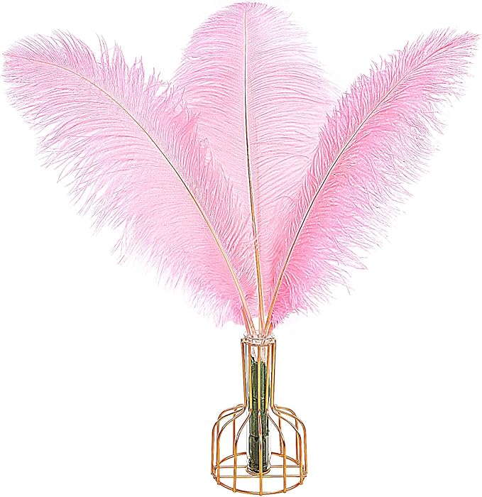 THARAHT 12PCS Ostrich Feathers Natural Bulk 14-16Inch(35-40cm) for Wedding Party Centerpieces Easter Gatsby Flower Arrangement and Home Decorate Ostrich Feathers,Pink-Ruum Studio Home