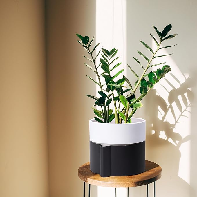 Phoenix Vine 6.5 Inch Self-Watering Planter Pot with Terracotta Insert, Deep Water Reservoir, and Ceramic-Alike BPA-Free Plastic Pot for Plant, Modern Planter for Houseplants, Black/White, 53-C-S-7-Ruum Studio Home
