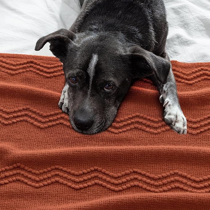 MIULEE Fall Rust Knitted Throw Blanket for Couch Boho Terracotta Textured Cozy Woven Blanket with Tassels for Sofa Chair Bed Living Room Acrylic Wave Pattern 60"x80"-Ruum Studio Home