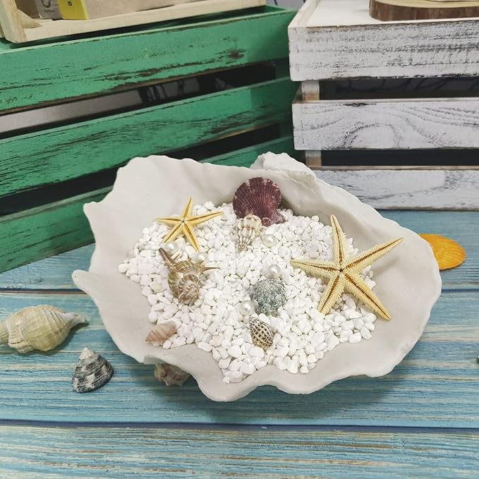 Accessoryway Large White Sea Shells Decorative Bowl Resin Clam Shell Bowl Beach Decorations for Home Coastal Beach Decor Decoration Storage Bowls & Home Office Nautical Themed Party Decor -10.2"-1PC-Ruum Studio Home