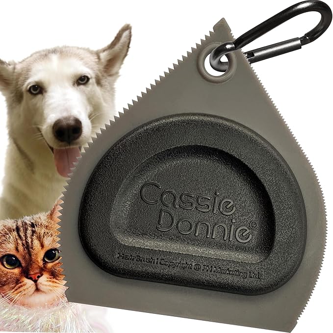 Mini Pet Hair Detailer, Pet Hair Remover for Carpet Couch Bedding Sofa, Car Interior Auto Detailing Supplies, Dog Cat Fur Reusable Brush for Furniture-Ruum Studio Home