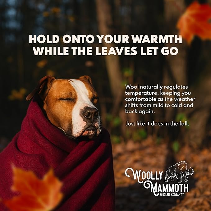 Woolly Mammoth Woolen Company Merino Wool Camping Blanket - 66 × 90 in, Red/White & Blue Plaid - 80% Merino Wool Heavyweight Outdoor Throw Blanket - Insulating for Picnic & Travel-Ruum Studio Home