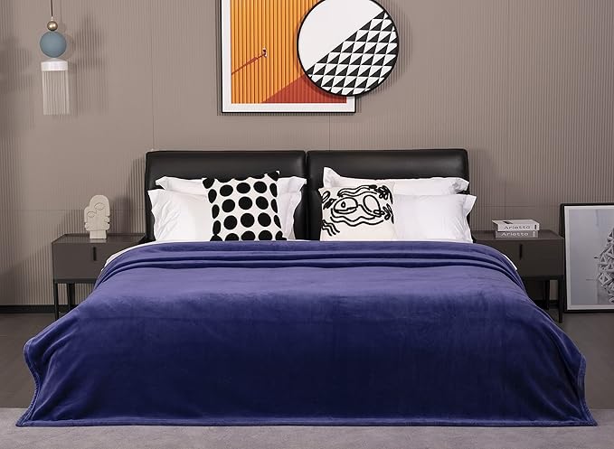 Mellowdy Extra Thick Hearty Plush Flannel Blanket (Violet Purple, 60x80) - 500GSM Twin Size Warm Blanket for Winter, Fall | Soft, Fluffy, Cuddly, Perfect for Bed, Oversized Throw for Couch, Sofa-Ruum Studio Home