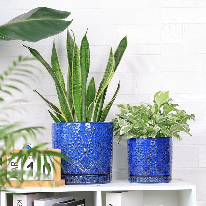 8 Inch + 6 Inch Indoor Plant Pot with Drainage Holes and Saucers, Ceramic Planter for Plants Succulent Orchid Flower Pots-Ruum Studio Home