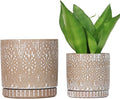 8 Inch + 6 Inch Plant Pot with Drainage Holes and Saucers, Indoor Ceramic Planter for Plants Succulent Orchid Flower Pots-Ruum Studio Home