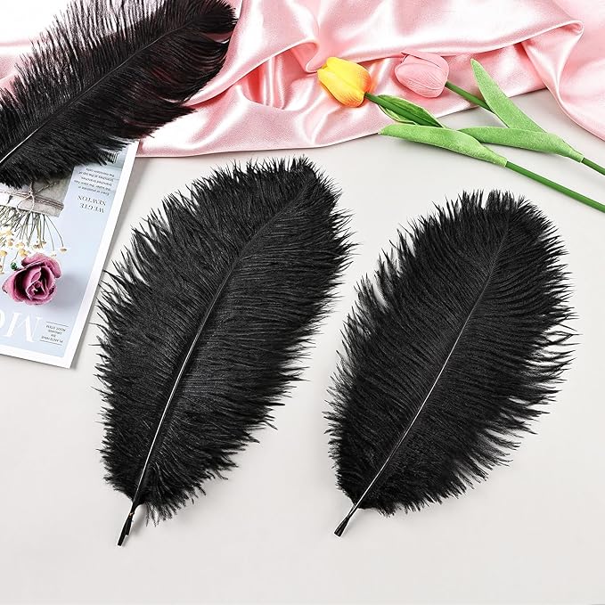THARAHT Black Ostrich Feathers 12pcs Natural Bulk 8-10Inch 20cm-25cm for Crafts Wedding Party Centerpieces Halloween and Home Decoration Feathers-Ruum Studio Home