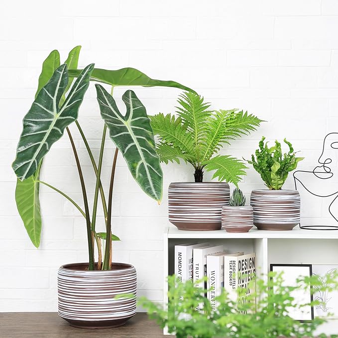 10 Inch Ceramic Plant Pot with Drainage – Large Flower Pot for Indoor Outdoor Plants, Modern Decorative Planter for Patio, Balcony, Garden, or Home Decor-Ruum Studio Home