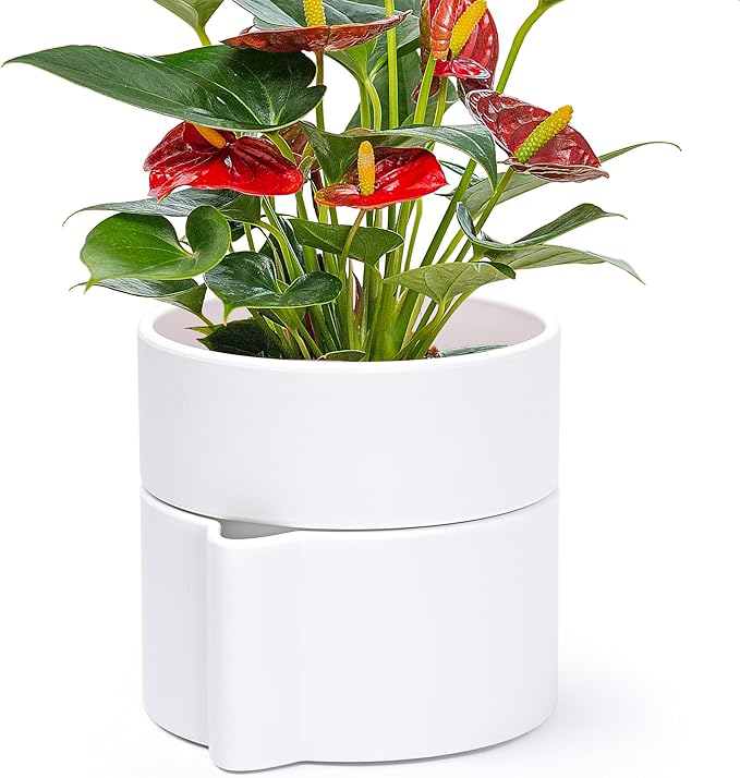 Phoenix Vine 6.5 Inch Self-Watering Planter Pot with Terracotta Insert, Deep Water Reservoir, and Ceramic-Alike BPA-Free Plastic Pot for Plant, Modern Planter for Houseplants, White, 53-A-S-1-Ruum Studio Home