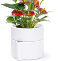 Phoenix Vine 6.5 Inch Self-Watering Planter Pot with Terracotta Insert, Deep Water Reservoir, and Ceramic-Alike BPA-Free Plastic Pot for Plant, Modern Planter for Houseplants, White, 53-A-S-1-Ruum Studio Home