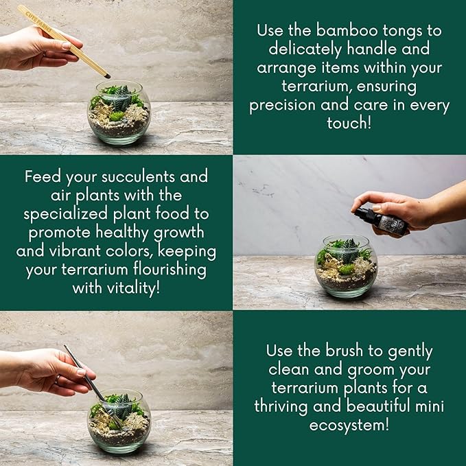 Cute Farms Terrarium Starter Kit | Moss, Vermiculite, Soil, Pebbles, Plant Food, Finishing Tools, Build and Care Guide | DIY Succulent Terrarium for Adults and Kids (Medium)-Ruum Studio Home