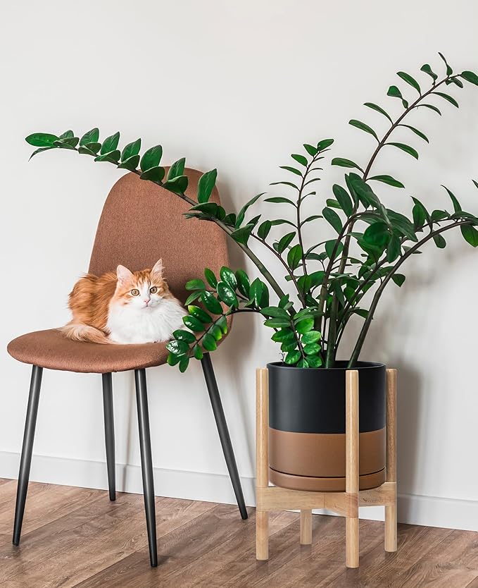 D'vine Dev Ceramic Planter with Natural Stand - 10 Inch Modern Round Flower Pot with Wood Planter Holder, Black/Speckled Tan, 55-B-K-7-Ruum Studio Home