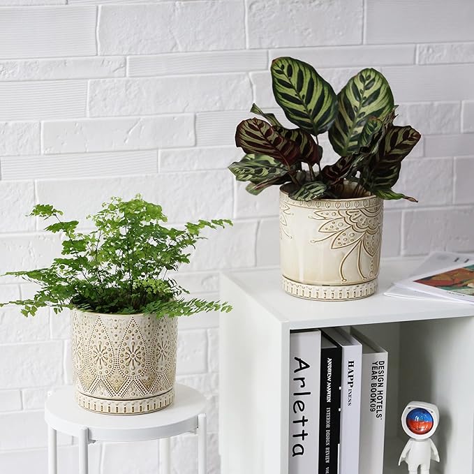 6 Inch Indoor Plant Pots with Drainage Holes and Saucers, Ceramic Planter for Plants, Flower Pot - Set of 2-Ruum Studio Home