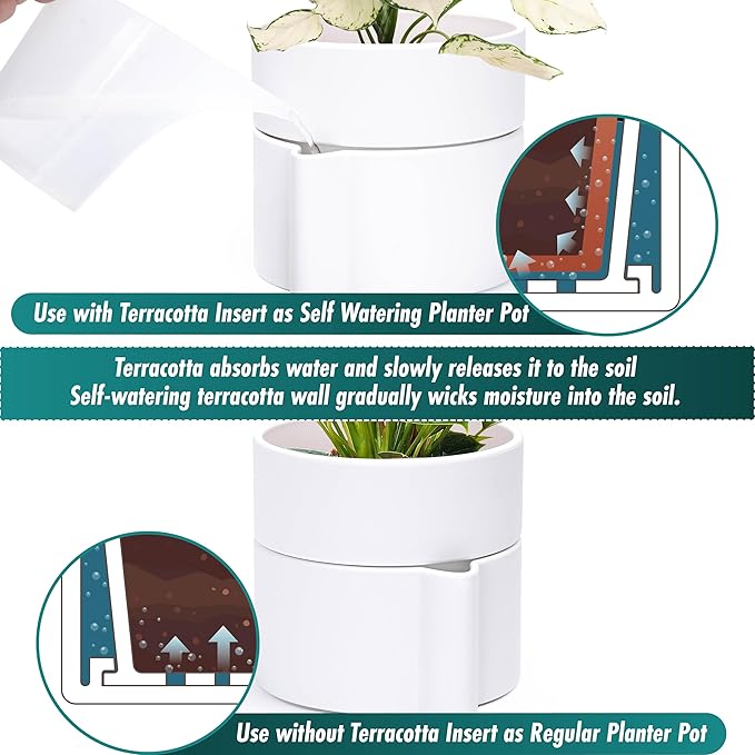 Phoenix Vine 6.5 Inch Self-Watering Planter Pot with Terracotta Insert, Deep Water Reservoir, and Ceramic-Alike BPA-Free Plastic Pot for Plant, Modern Planter for Houseplants, White, 53-A-S-1-Ruum Studio Home
