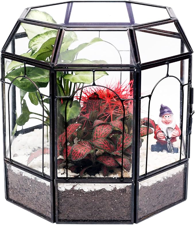 Large Glass Terrarium Handmade, Centerpiece Display Box Gift Planter Containers Indoor Terrariums House for Succulent Cacti Air Plants Miniature Fairy Garden-Ruum Studio Home