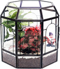 Large Glass Terrarium Handmade, Centerpiece Display Box Gift Planter Containers Indoor Terrariums House for Succulent Cacti Air Plants Miniature Fairy Garden-Ruum Studio Home