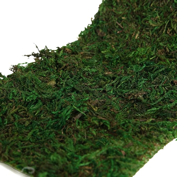 Moss Roll, Dried Moss for Crafts, Moss Table Runner for Fairy Gardens, Wedding Woodland Decor, Preserved Moss Mat for Table Decoration (4" W x 48" L)-Ruum Studio Home