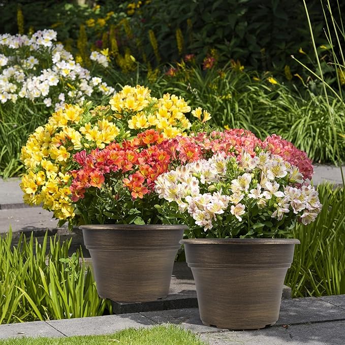 16 inch Plant Pots Outdoor Planters，4 Pack Large Plastic Flower Pot for Indoor Plants with Drainage Holes & Saucer, Resin Decorative Container Sets with Trays for House Outdoor Garden Plant Dark Gold-Ruum Studio Home