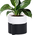 Phoenix Vine 6.5 Inch Self-Watering Planter Pot with Terracotta Insert, Deep Water Reservoir, and Ceramic-Alike BPA-Free Plastic Pot for Plant, Modern Planter for Houseplants, Black/White, 53-C-S-7-Ruum Studio Home