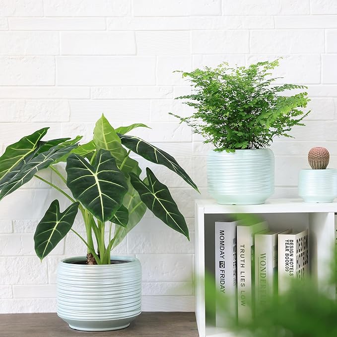 8 Inch + 6 Inch Ceramic Plant Pots Indoor with Drainage – Flower Pot Set, Decorative Indoor Planters for House Plants and Garden Use-Ruum Studio Home