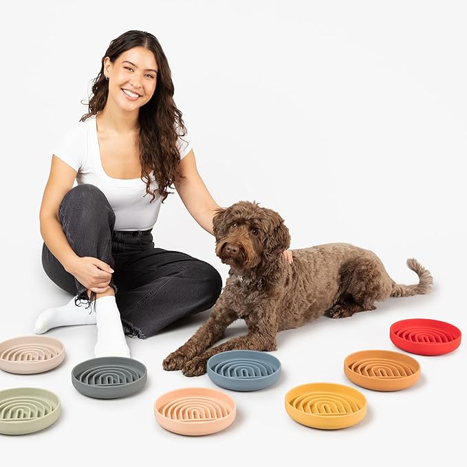 The Slowdown Bowl Silicone Slow Feeder for Dogs & Puppies, Slow Eating, Modern Lick Mat Design, Reduces Gulping, Fits 2 Cups 7.5” Across x 1.5” Tall, Mealtime Challenge, Medium-Cherry-Ruum Studio Home