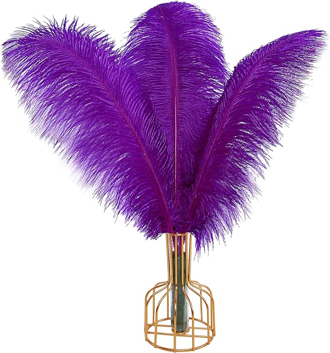THARAHT Purple Ostrich Feathers 12pcs Large Natural Bulk 20-22Inch 50cm-55cm for Wedding Party Centerpieces Easter Gatsbi and Decoration Feather-Ruum Studio Home