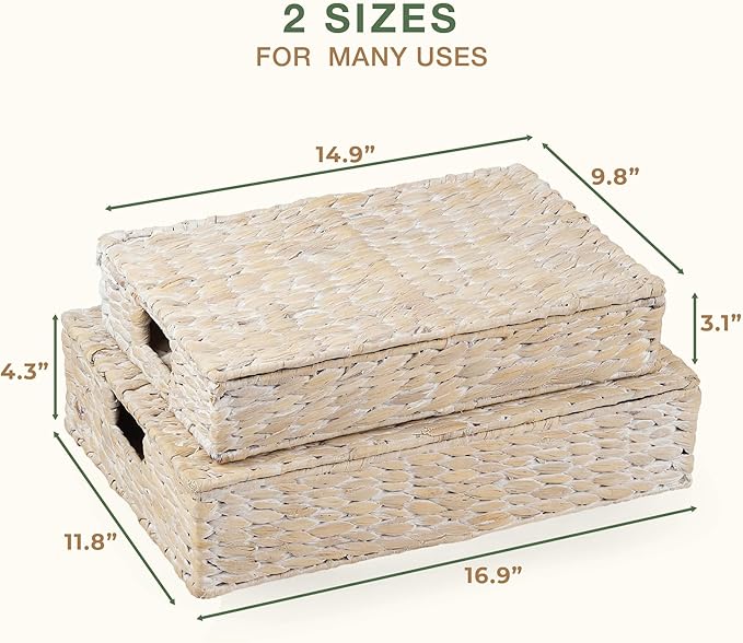 Set of 2 Decorative Storage Boxes With Lids for Home Decor, Shelves-Ruum Studio Home