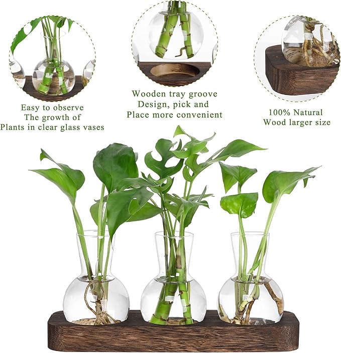 YIBOT Propagation Stations,Plant Propagation Vase,Desk Plant Terrarium with Retro Wooden Stand,Plant Lover Gifts for Women for Hydroponics Plants Home Garden Wedding Decor(3 Vase)-Ruum Studio Home
