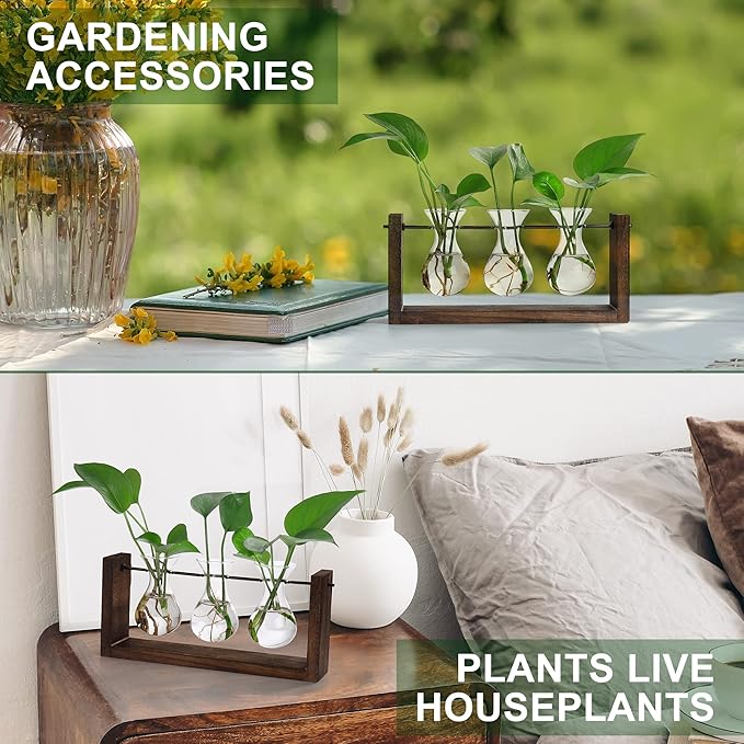 YIBOT Wall Hanging Planter Propagation Station, Plant Terrarium with Wooden Stand, Hydroponics Plants Home Office Living Room Decor Gift-3 Bulb Glass Vases-Ruum Studio Home