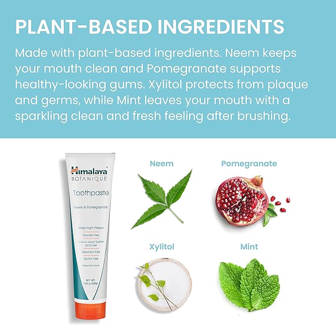 Himalaya Botanique Neem & Pomegranate Toothpaste, Mint Flavor - Fluoride Free Toothpaste Fights Plaque & for Fresh Breath - Vegan, Gluten Free, No SLS, No Artificial Flavors or Colors, 5.29 oz-Ruum Studio Home