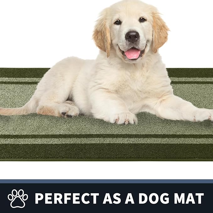 PURRUGS Dirt Trapping Door Mat 20" x 32", Non-Slip/Skid Machine Washable Entryway Rug, Shoes Scraper, Area Rug, Super Absorbent Welcome Mat for Muddy Wet Shoes and Paws, Budding Green & Sage Green-Ruum Studio Home