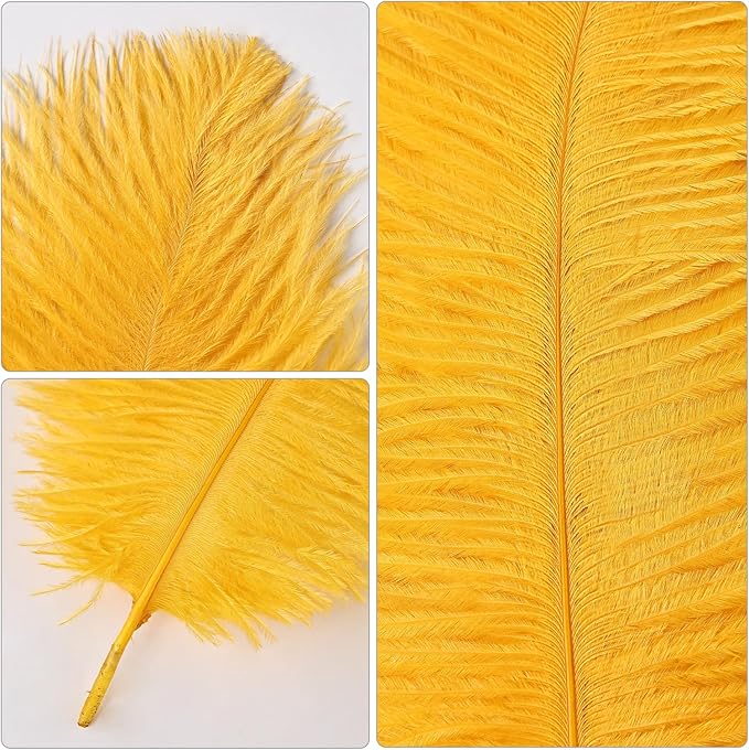 THARAHT Golden Yellow Ostrich Feathers 24pcs Natural Bulk 8-10Inch 20cm-25cm for Crafts Wedding Party Centerpieces Halloween and Home Decoration Feathers-Ruum Studio Home