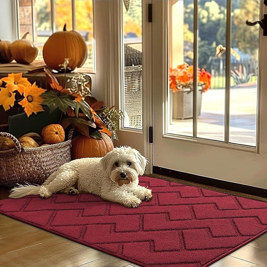 hicorfe Indoor Door Mat,Non Slip Door Mats,32"x48" Front Back Door Mat Rubber Backing,Absorbent Resist Dirt Entrance Inside Floor Mats for Entryway Washable Low-Profile(Red)-Ruum Studio Home